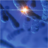 Nitrite Standard